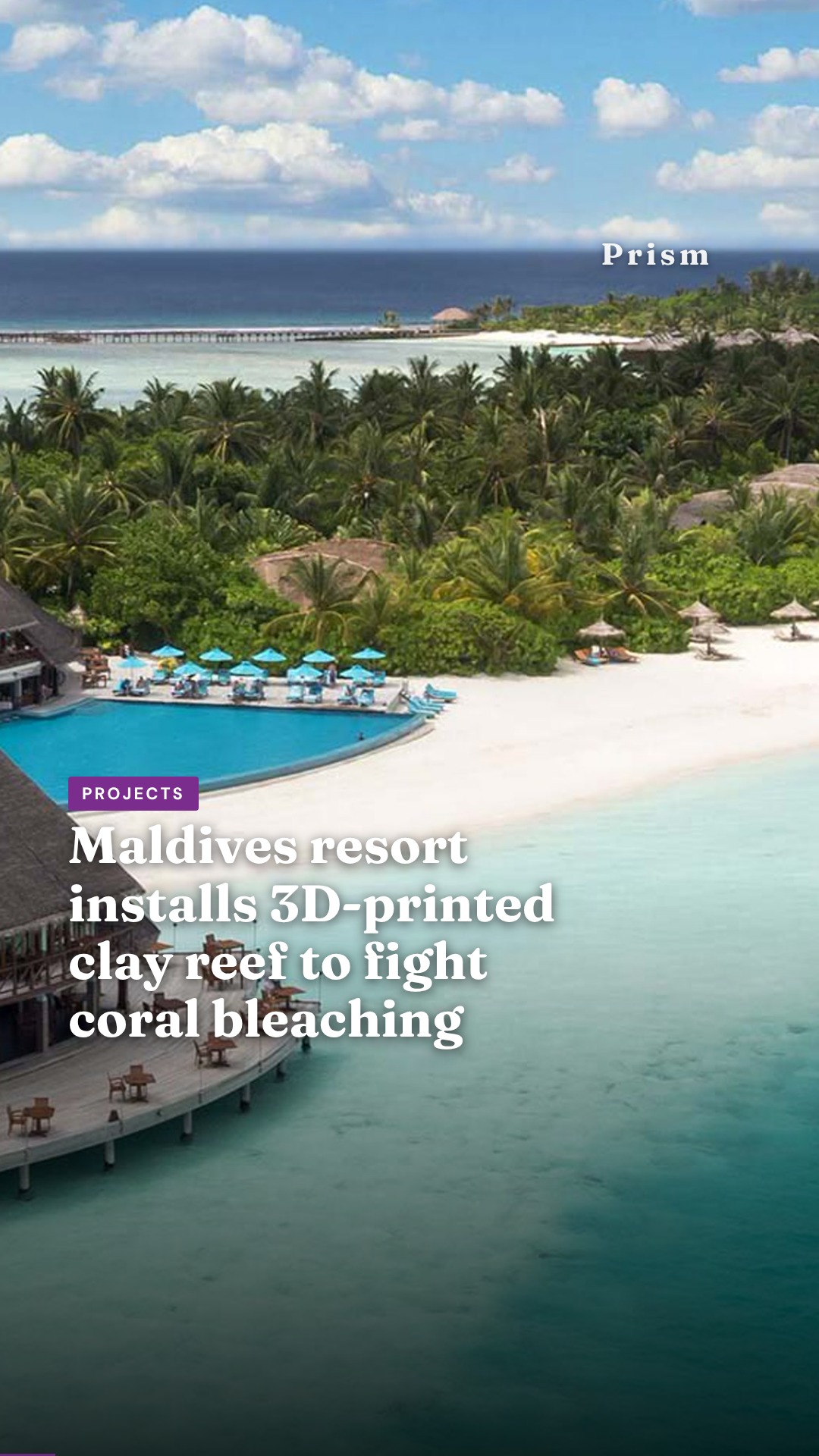 Maldives resort installs 3D-printed clay reef to fight coral bleaching