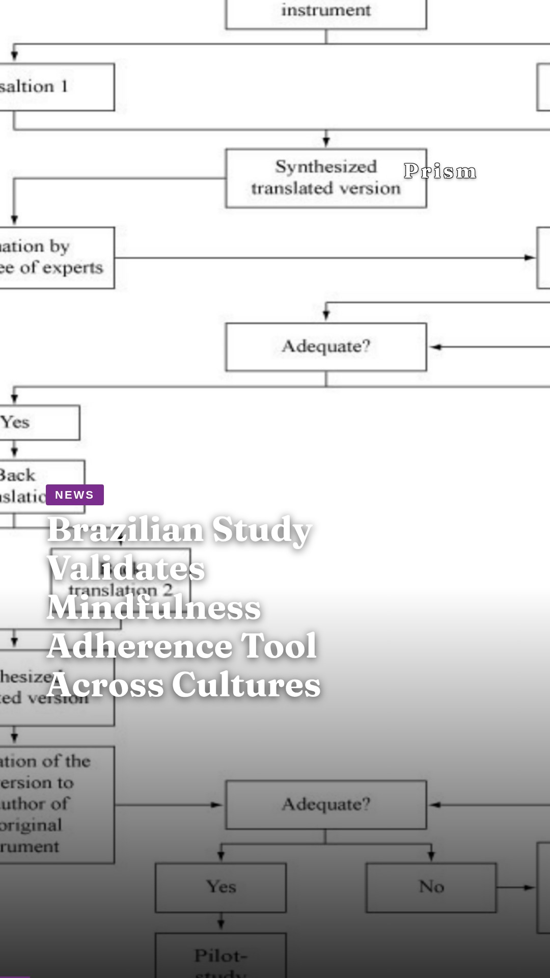 Brazilian Study Validates Mindfulness Adherence Tool Across Cultures