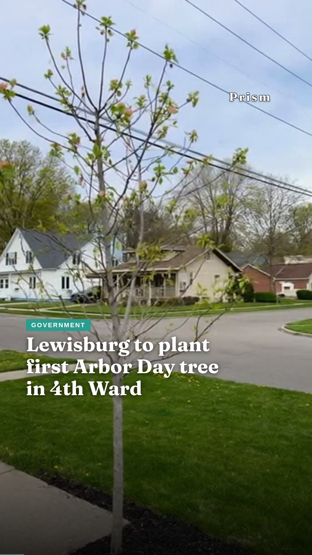 Lewisburg to plant first Arbor Day tree in 4th Ward
