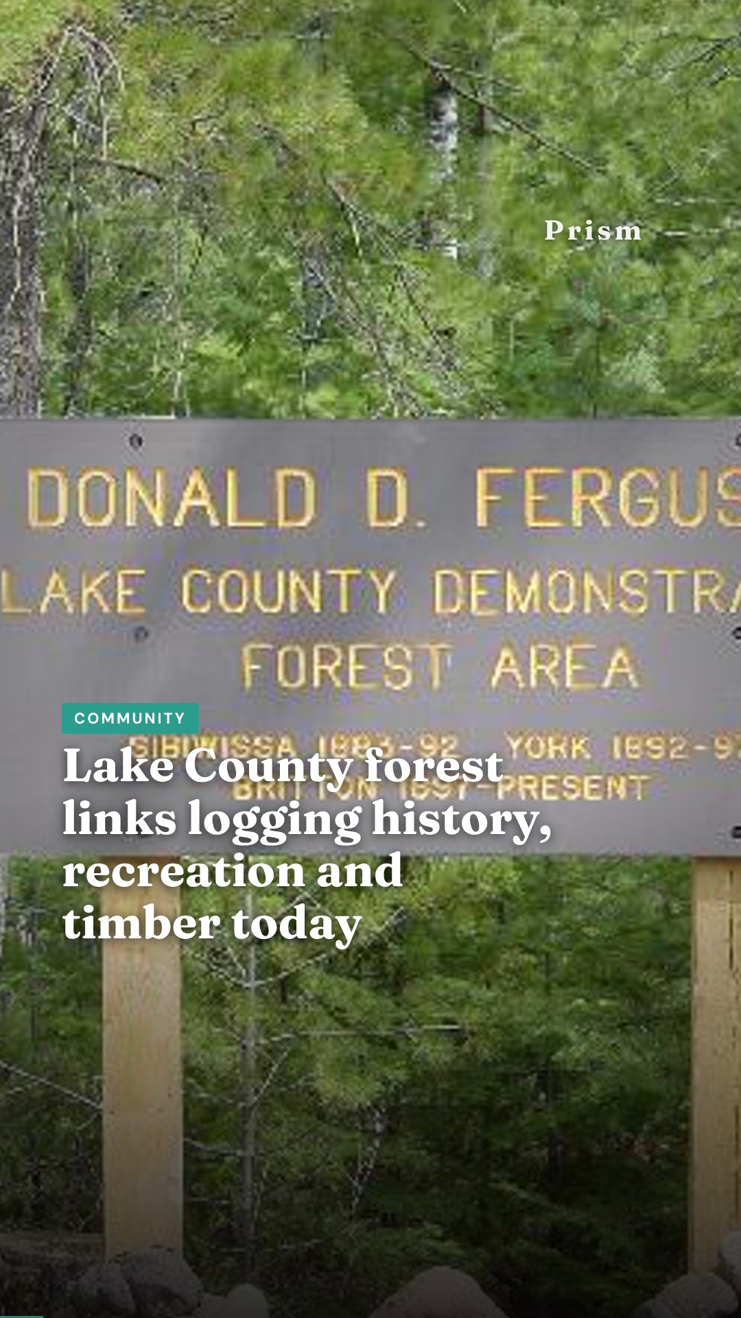 Lake County forest links logging history, recreation and timber today