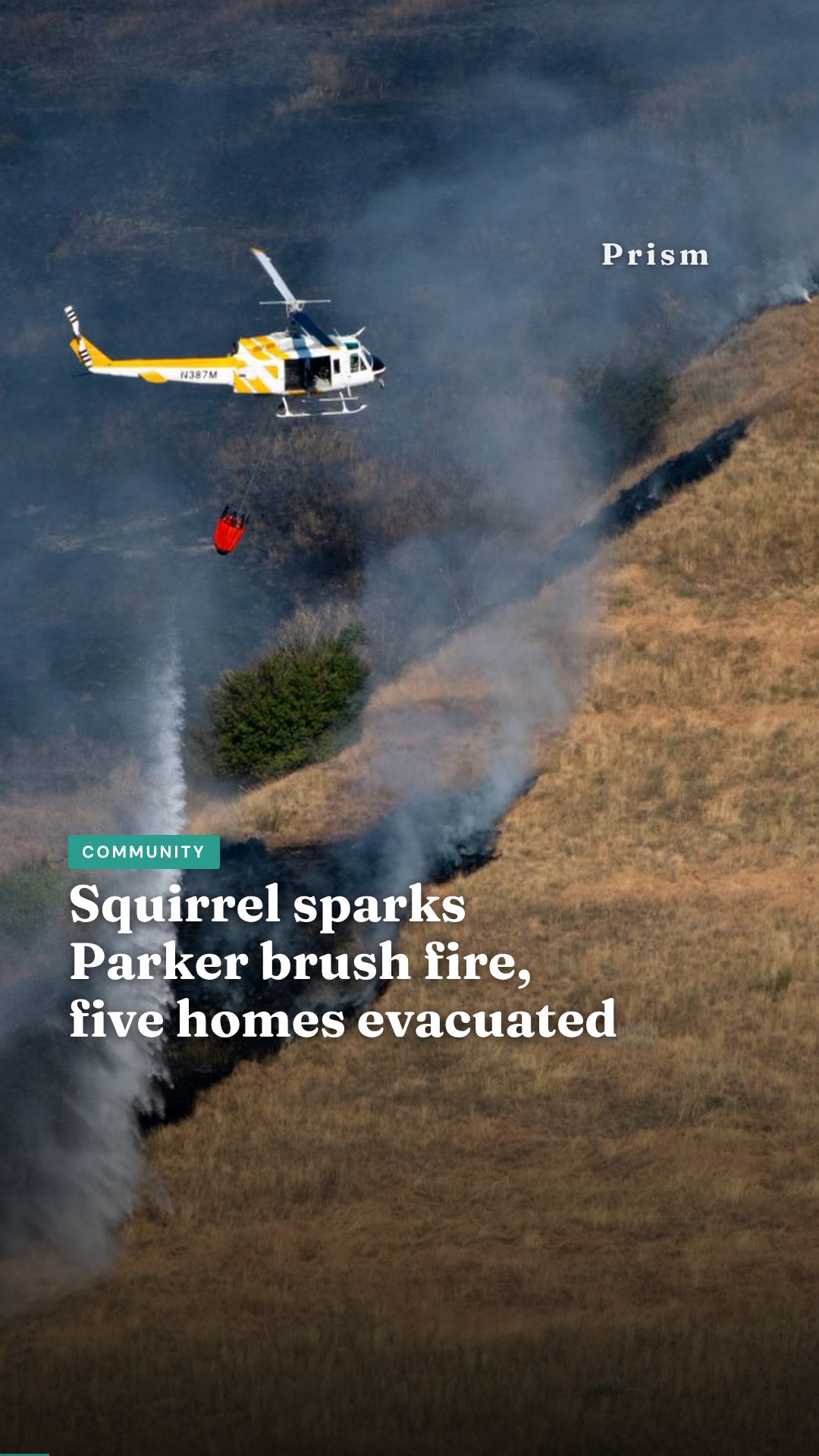 Squirrel sparks Parker brush fire, five homes evacuated
