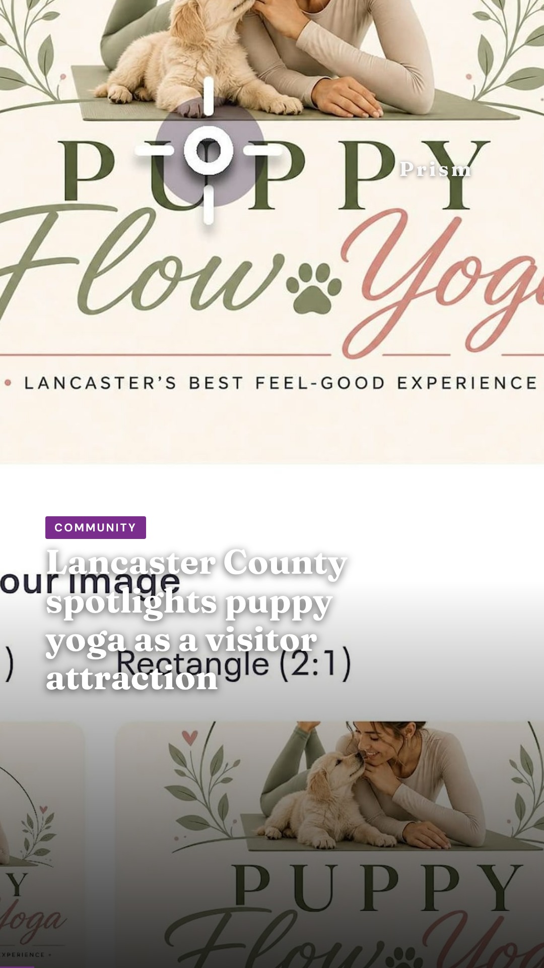Lancaster County spotlights puppy yoga as a visitor attraction