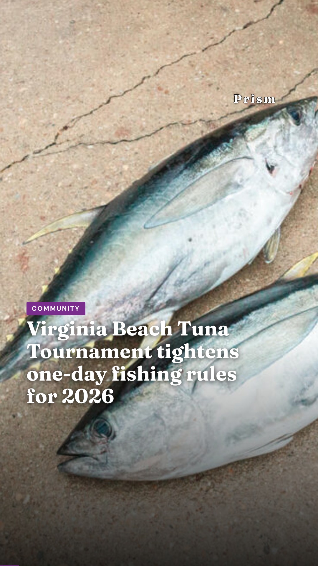 Virginia Beach Tuna Tournament tightens one-day fishing rules for 2026